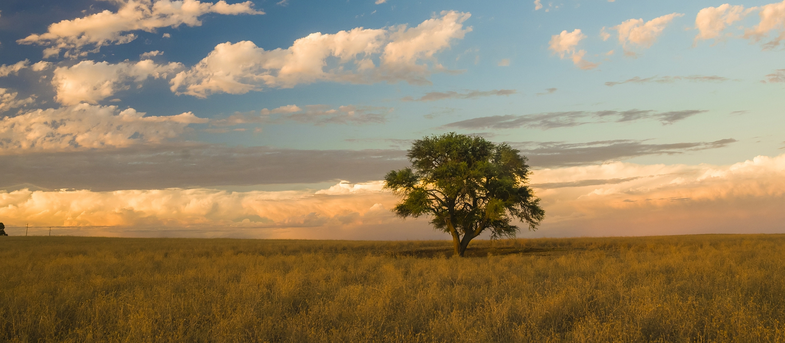 13 DAY ARGENTINE ESTATES