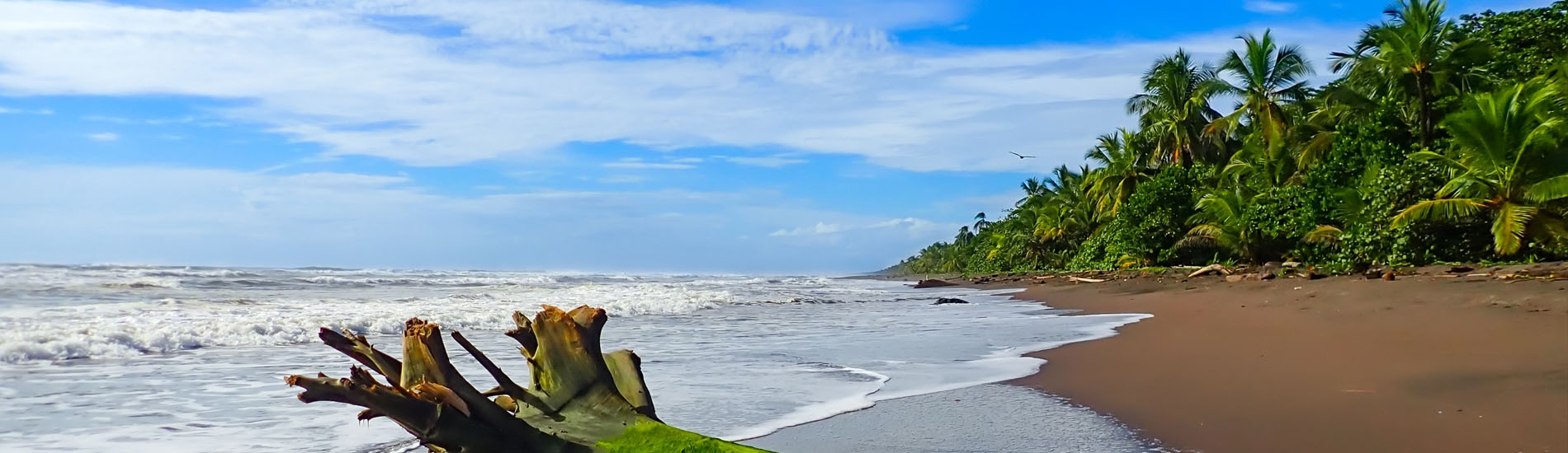 Tortuguero Nacional Park beach