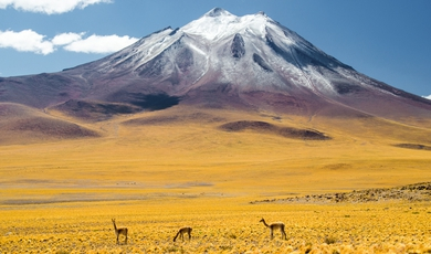 Wonders of Atacama