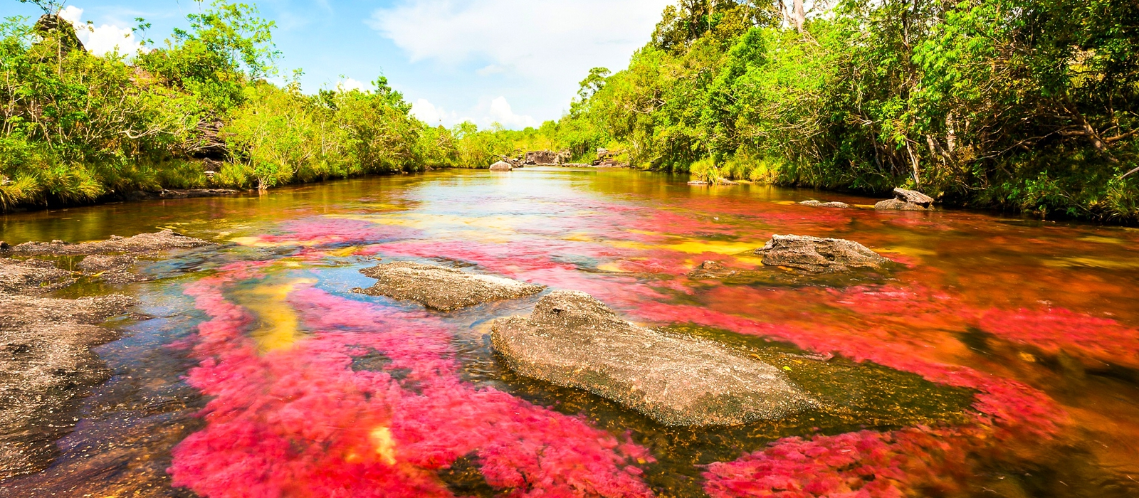 4 DAY CAÑO CRISTALES ADD-ON