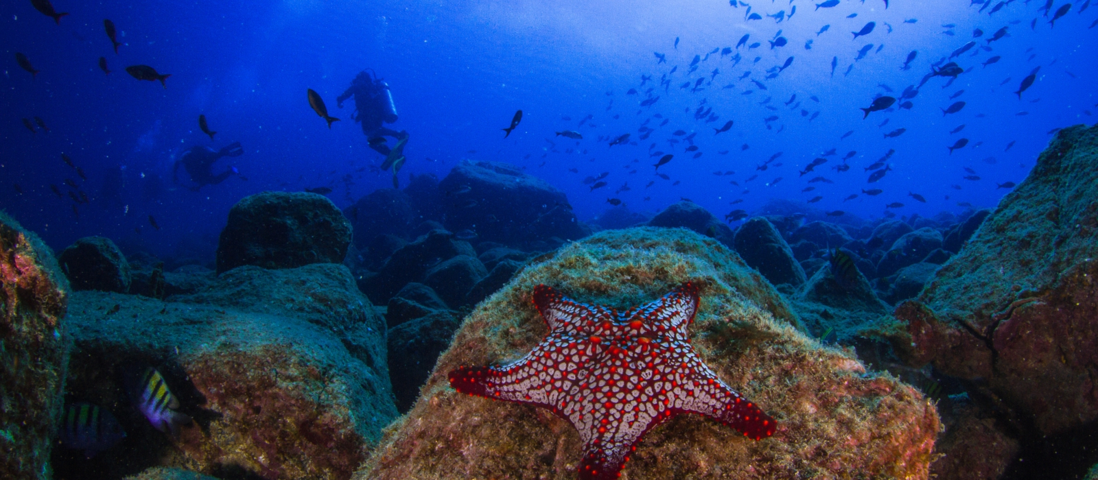 COIBA NATIONAL PARK EXTENSION