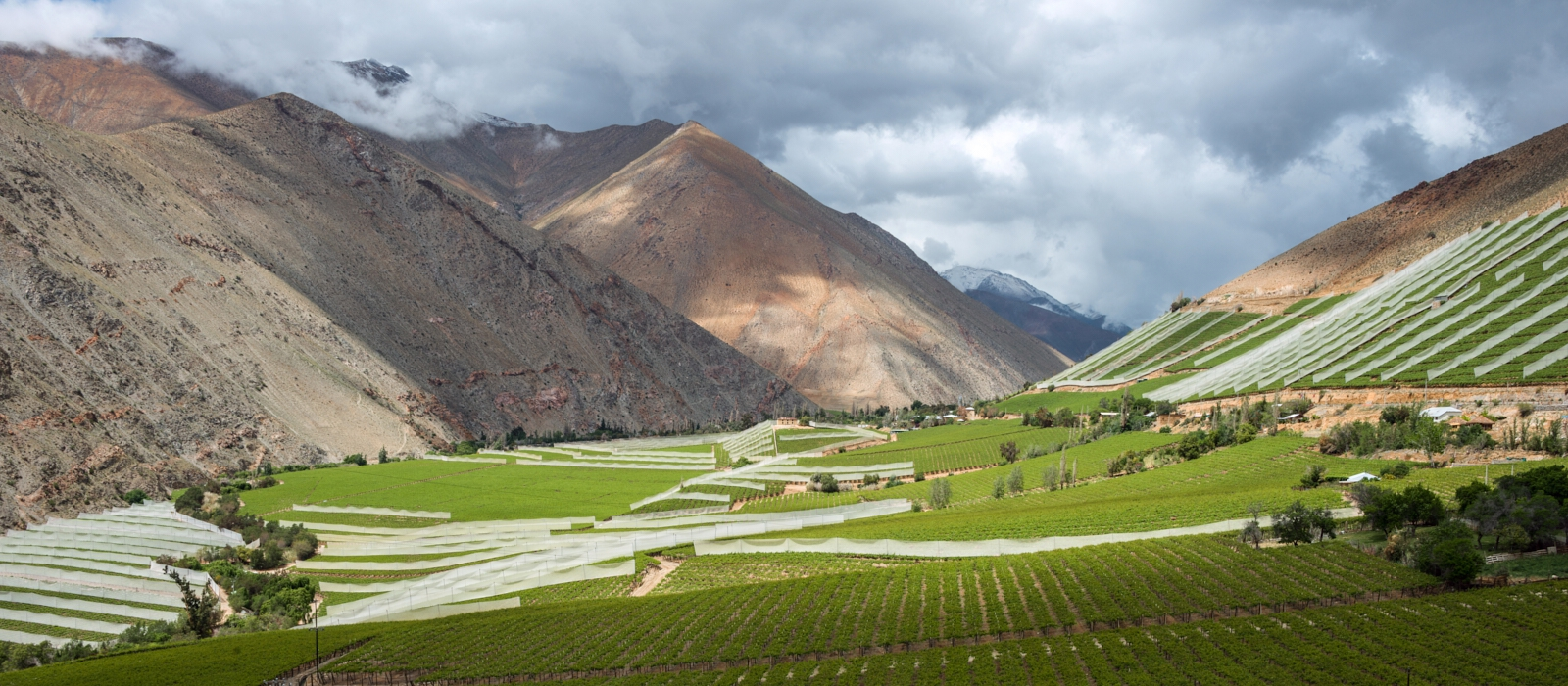 ELQUI VALLEY IMMERSION