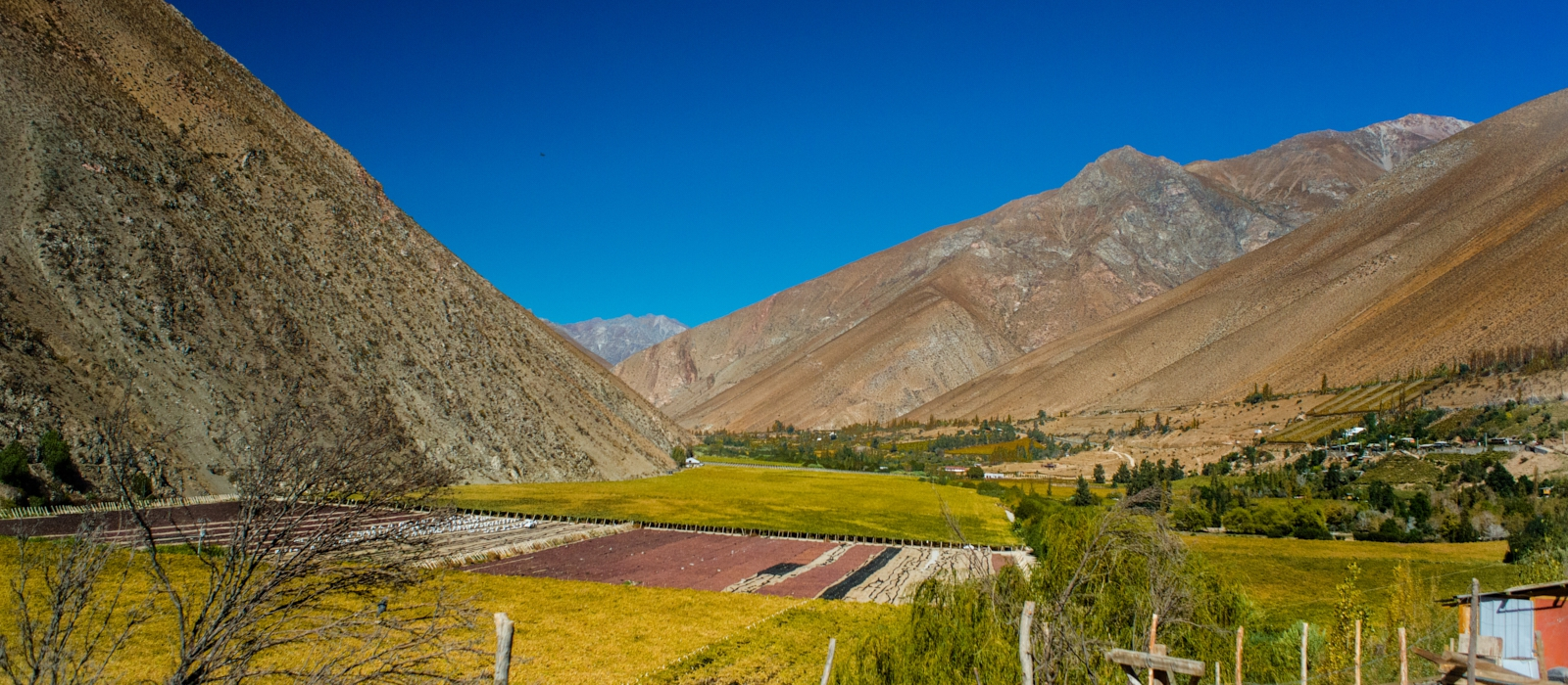 ELQUI VALLEY IMMERSION