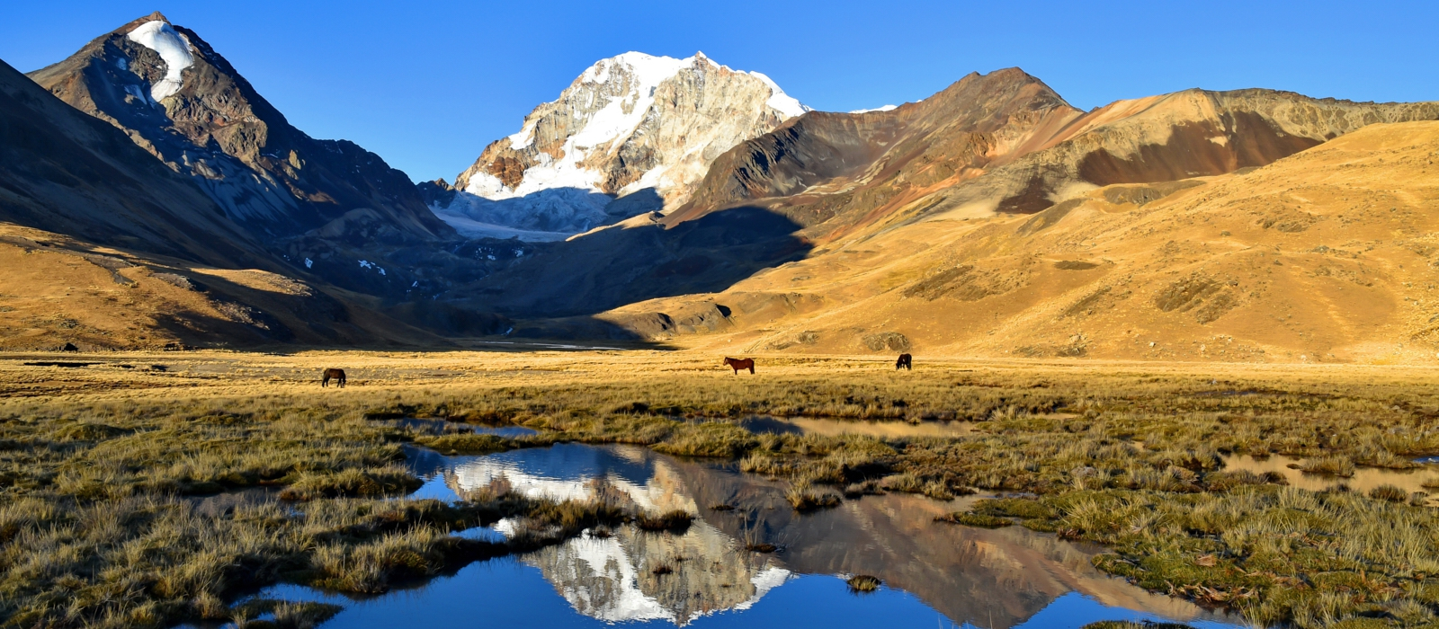 HUAYNA POTOSI MOUNTAIN CLIMB