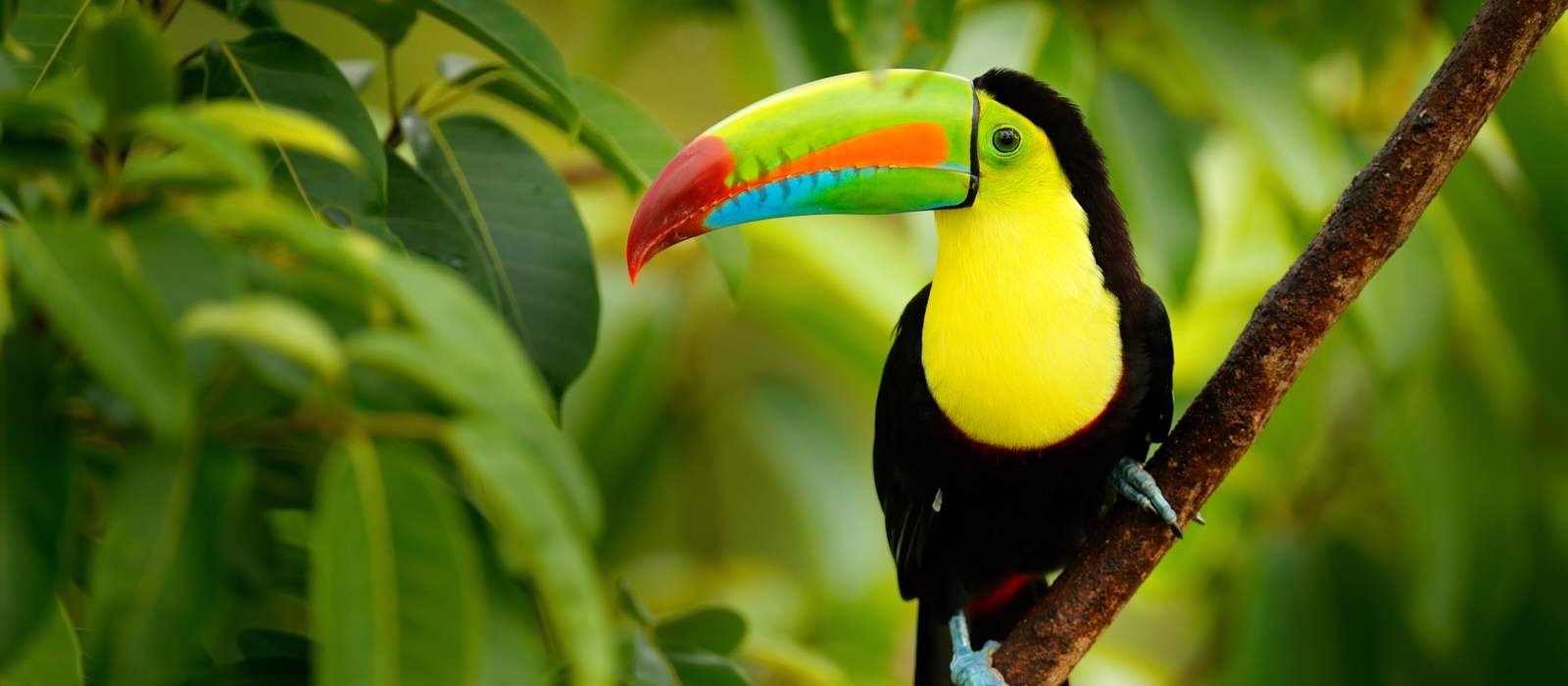 Off The Beaten Track Belize