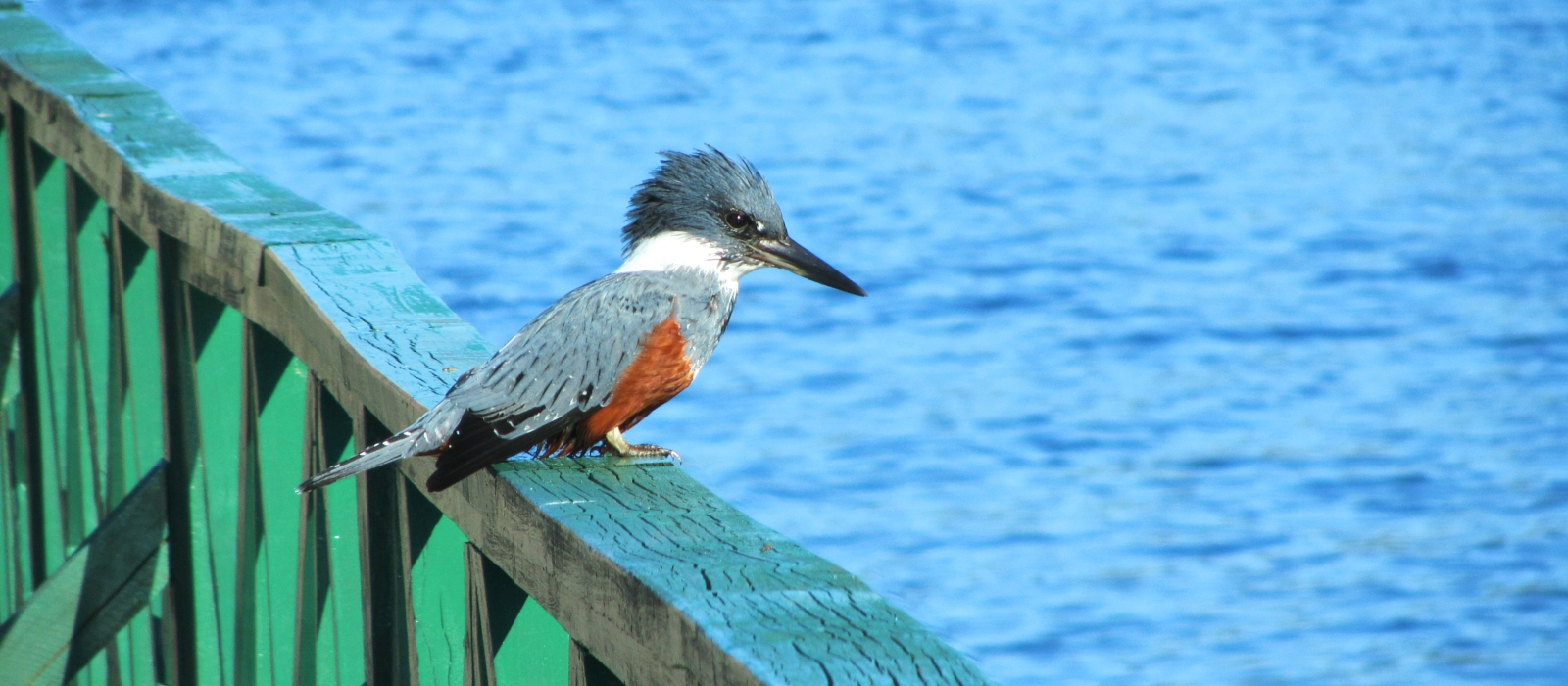 THE MAGICAL CHILOE ISLAND